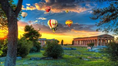 369951424 669427085221872 8105716267770652912 n