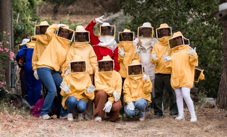 371764802 318453167364035 8657175010850388513 n