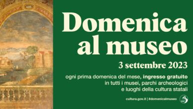 371801627 687834803383584 2229607046173127483 n