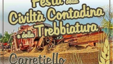 Carretiello In Evoluzione2 696x669 1