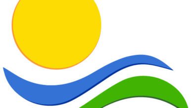 LOGO V