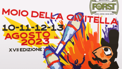 Screenshot 2023 08 05 at 22 41 11 Mojoca Festival Internazionale Artisti di strada Moio della Civitella CILENTO