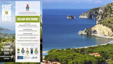 dialoghi mediterranei
