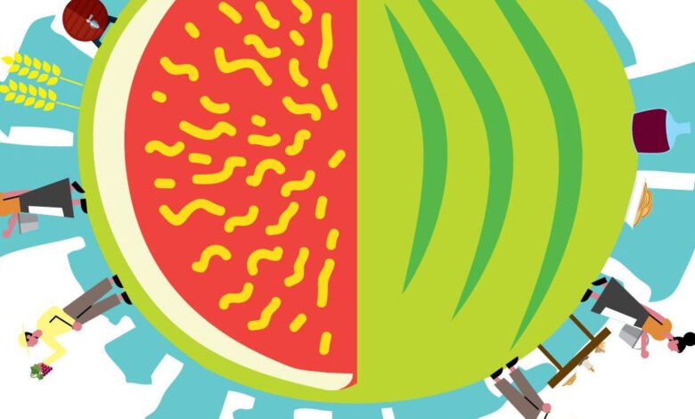 festa del fico bianco giungano