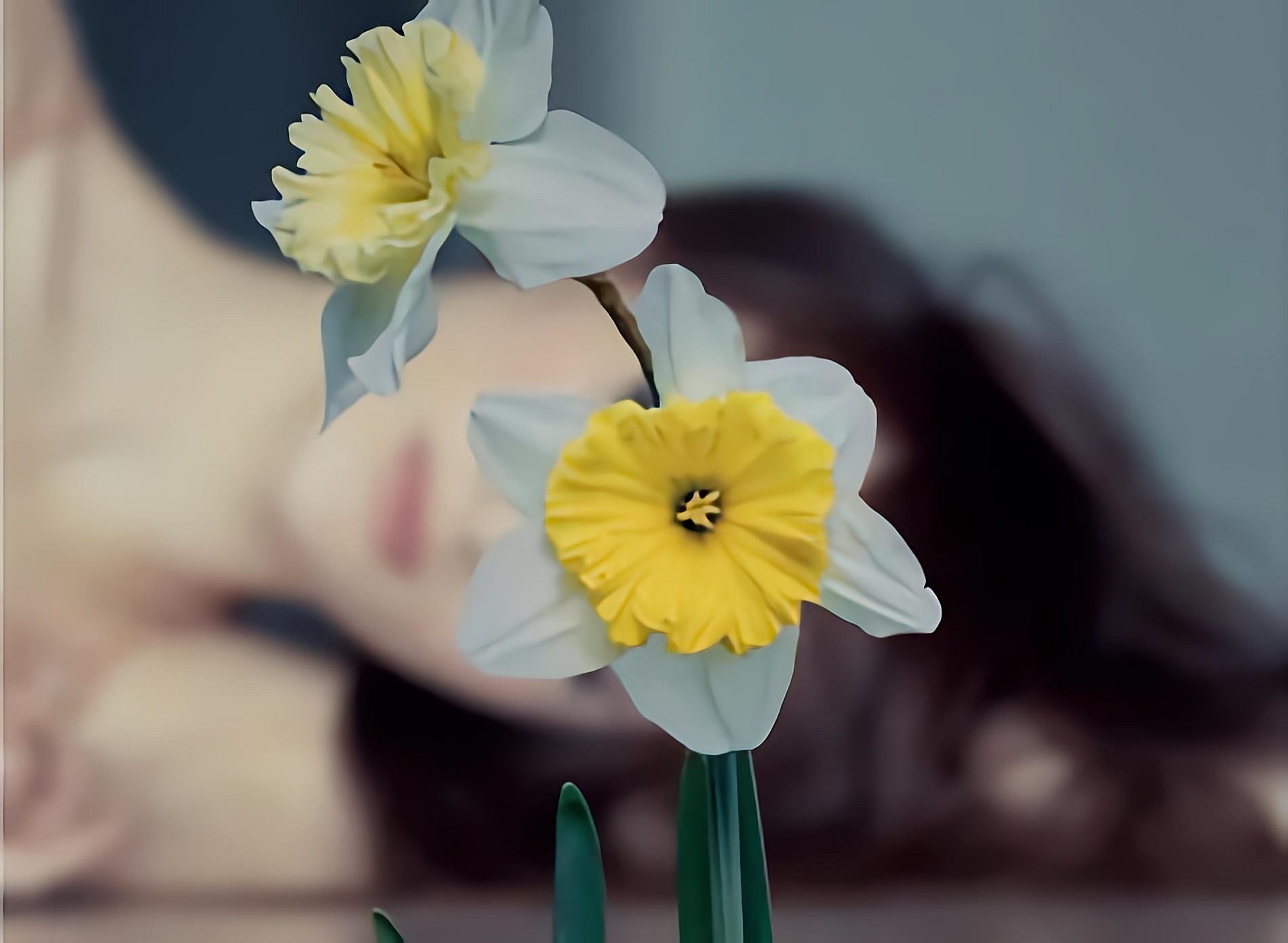 giallo narciso