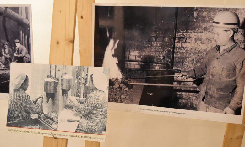 novi velia emigranti