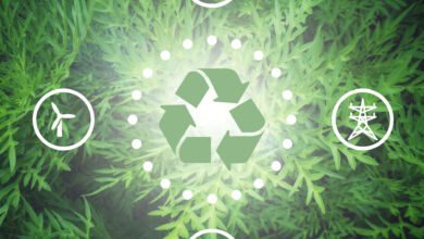 sviluppo sostenibile due Copia