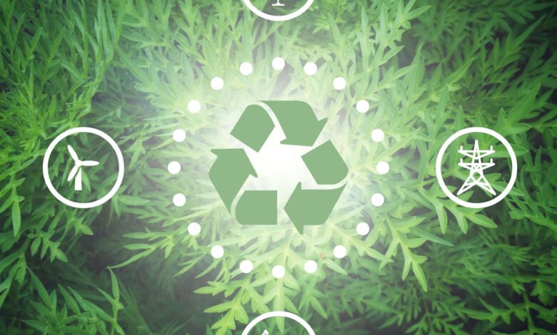 sviluppo sostenibile due Copia