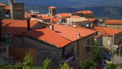 274538496 316313687208002 1345887324667139086 n