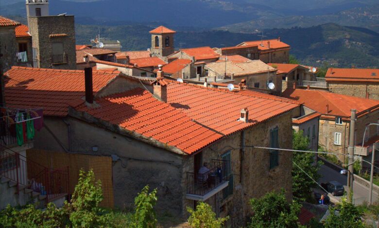 274538496 316313687208002 1345887324667139086 n