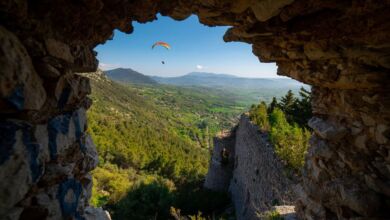 371824827 693034016173935 7590742693138841416 n