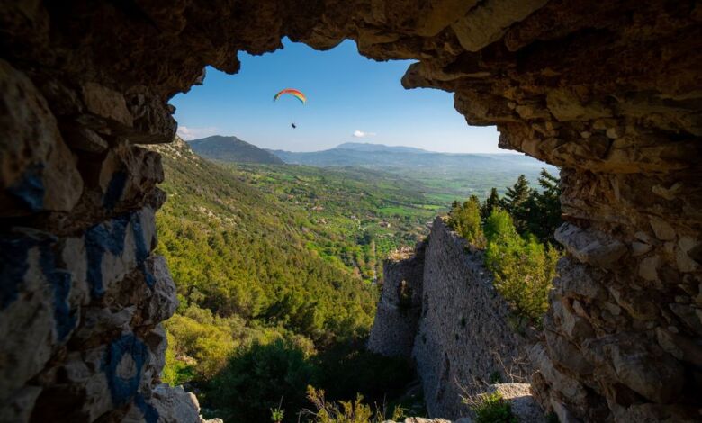 371824827 693034016173935 7590742693138841416 n