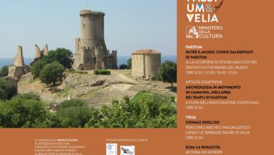 373597640 771816771617988 9121878284002310159 n