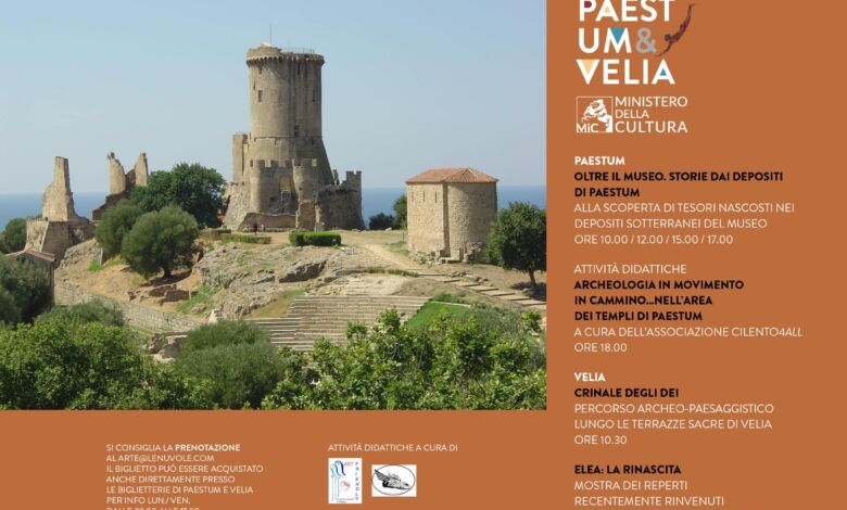 373597640 771816771617988 9121878284002310159 n