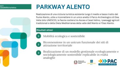 376680384 217977364610858 2973612462842788788 n