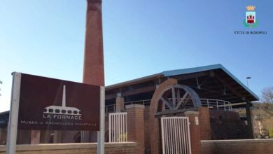 376782673 691278993029246 2244126234656808457 n