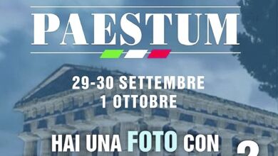 376903522 2035807000104078 5207499369650955984 n