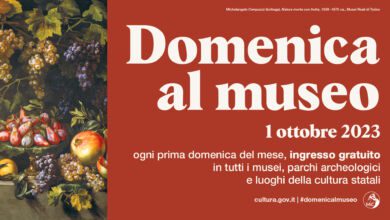 376914443 648639604085130 6111078901398938181 n