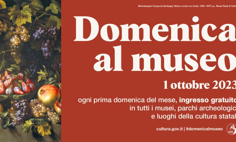 376914443 648639604085130 6111078901398938181 n