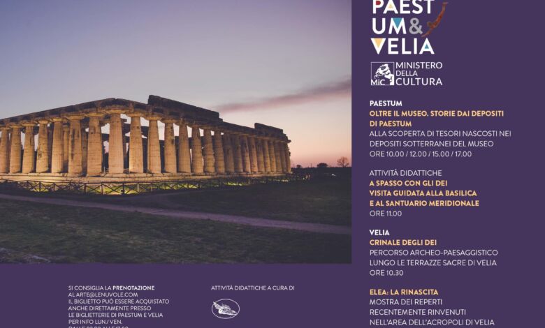 377708038 666478658906954 4500824402031627173 n