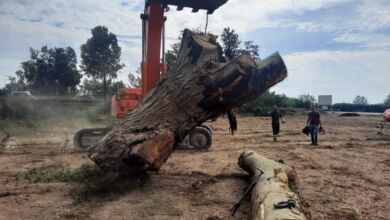 379063916 330010056256131 7978345290024454102 n