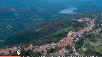 382855505 801440675320197 3539196312730530333 n