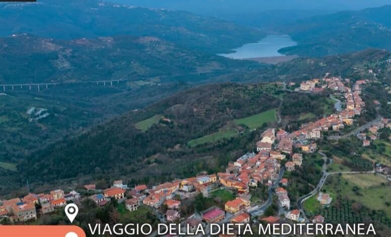 382855505 801440675320197 3539196312730530333 n