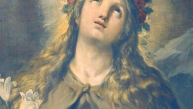 Santa Rosalia