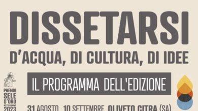 dissetarsi