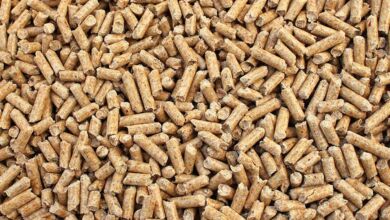 pellet copertina