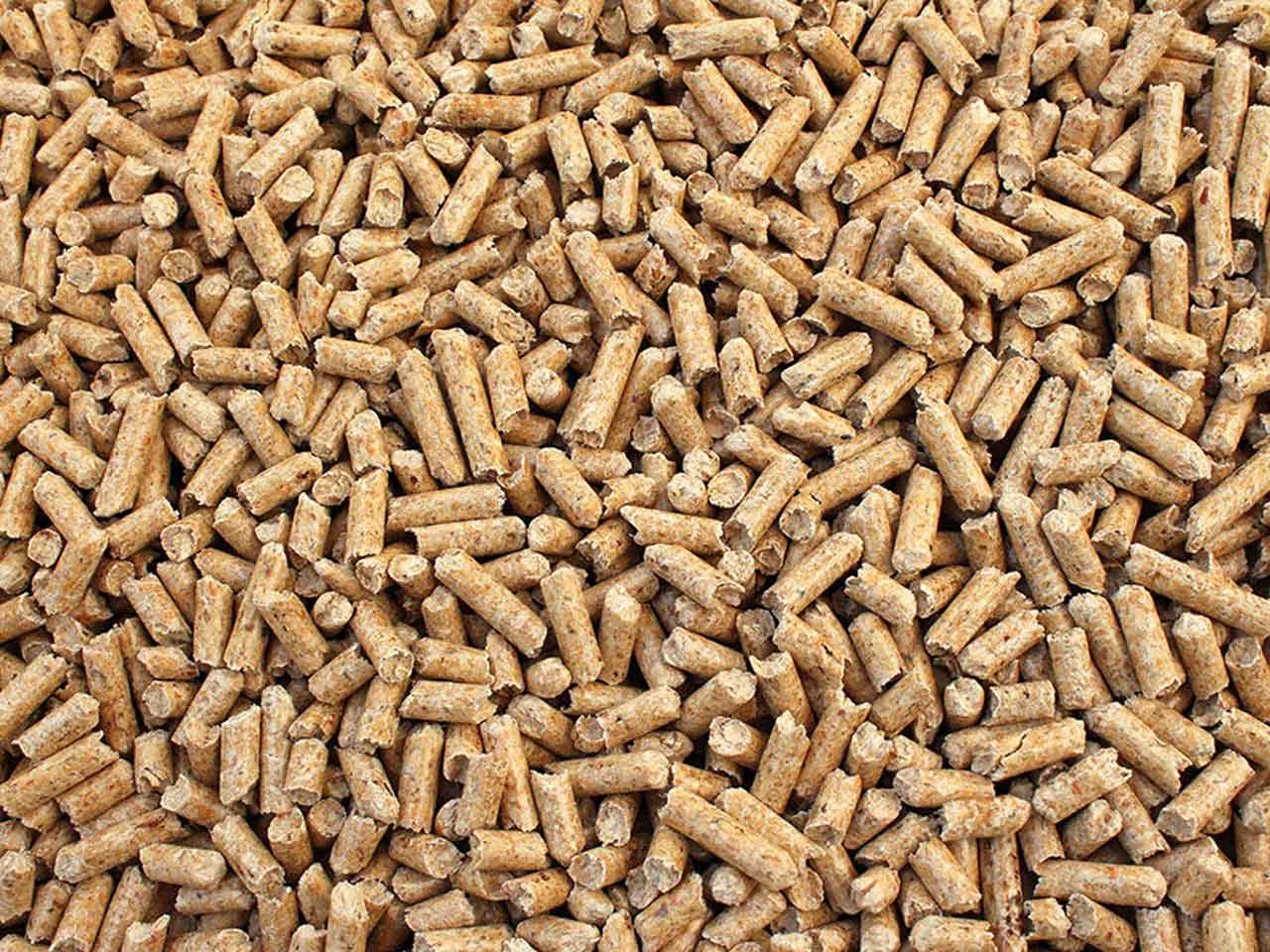 pellet copertina