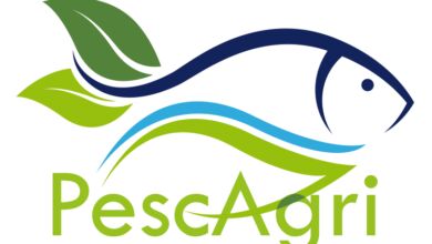 307444530 108893528644246 3797274415351853892 n