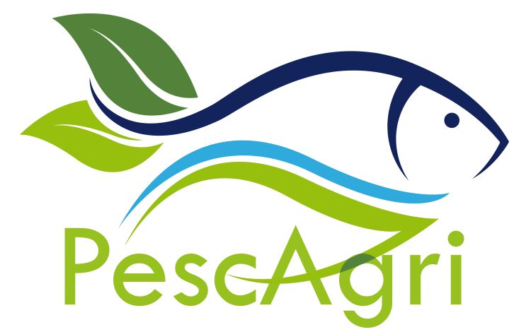 307444530 108893528644246 3797274415351853892 n