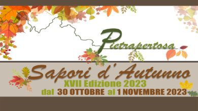 370161668 291966453593745 8482179116705718120 n