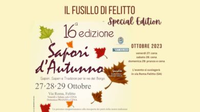 382714056 631947185725430 8336274777895648858 n