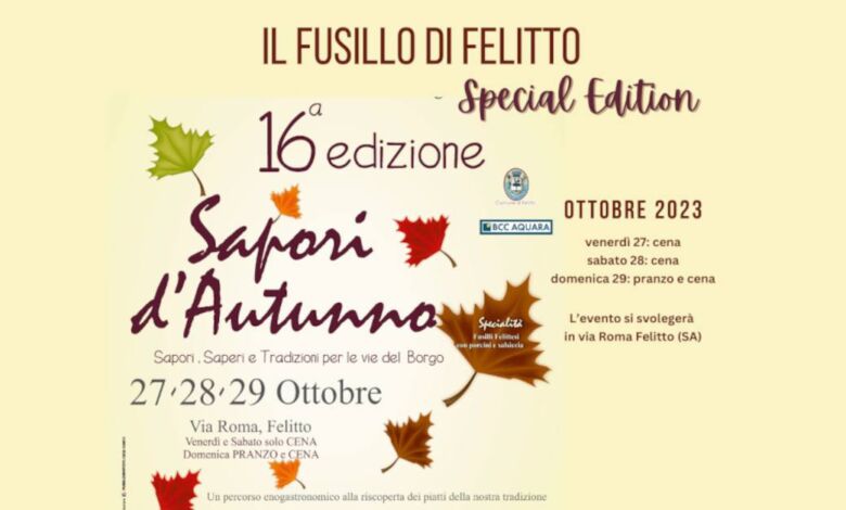 382714056 631947185725430 8336274777895648858 n