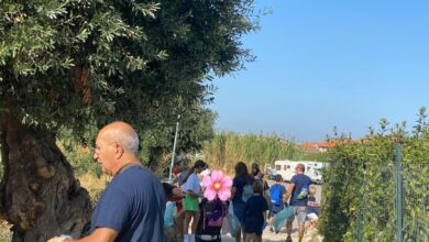 385094312 714517014051440 8211935254090805982 n