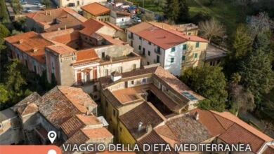 385840206 337802801977336 8479186184428826200 n