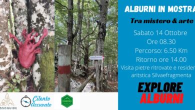 387847192 787470239882945 54708302628265291 n