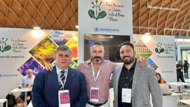 387855222 710629781094167 8173972206303212746 n