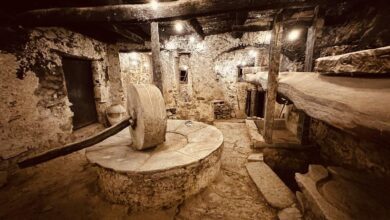 394520170 375637761463318 5474687007647037316 n