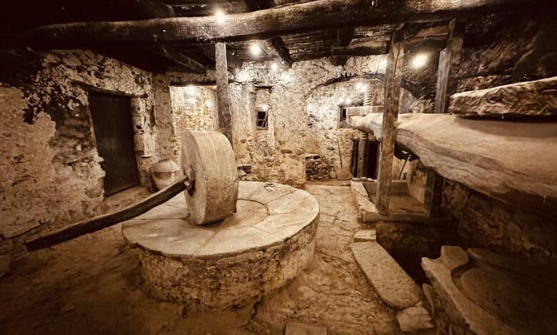 394520170 375637761463318 5474687007647037316 n