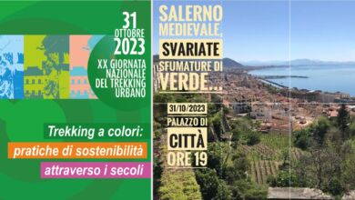 395301004 860144615896691 1970976904900080807 n