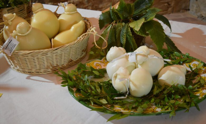 LAURENA CILENTO SAPORI DAUTUNNO