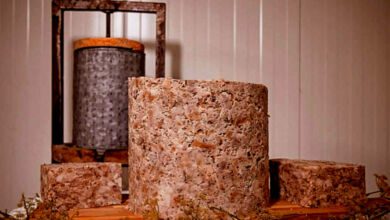 cicola cilentana fonte facebook