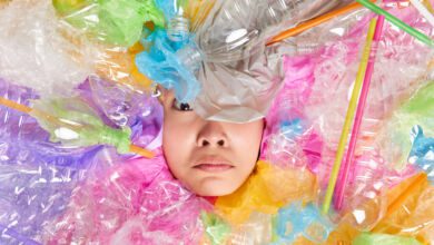 consumo responsabile