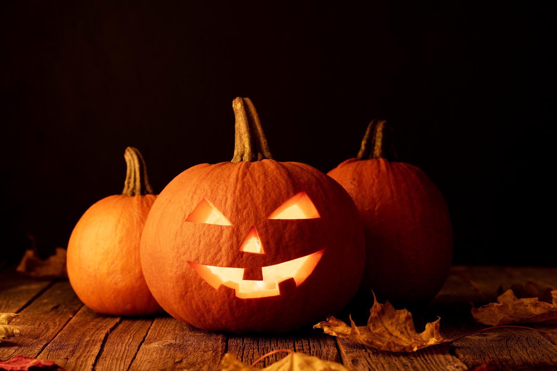 halloween 202 ad atena lucana scalo