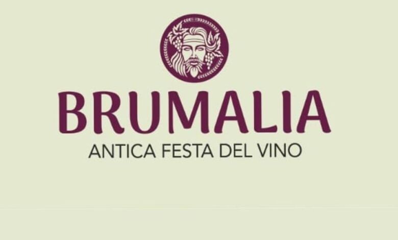 314744567 110892561829925 6840755717929343918 n