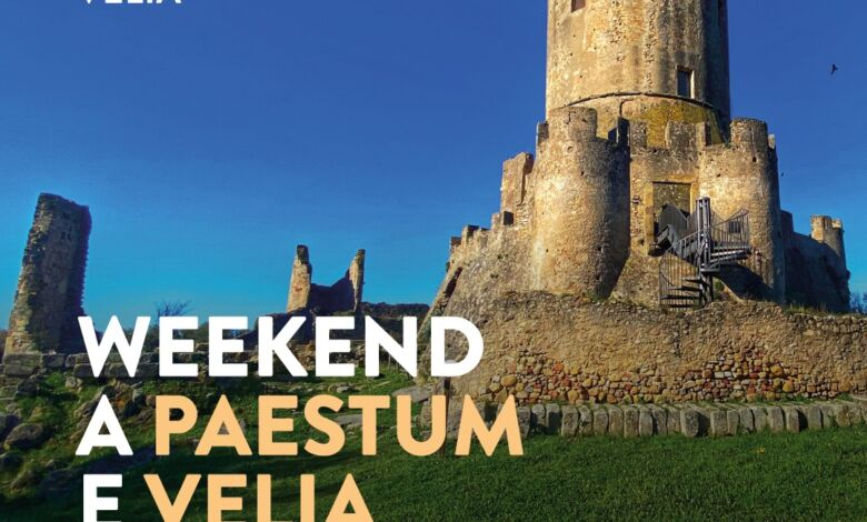 398315280 814979030635095 2088142845056351625 n