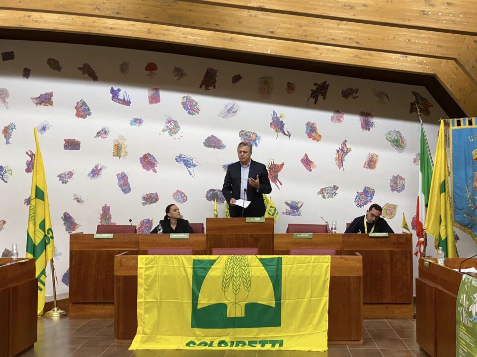 401841941 742367307933077 5714229266305157622 n